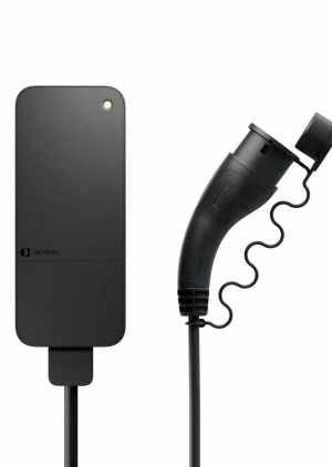 Amina-S-and-plug Amina-S-and-plug